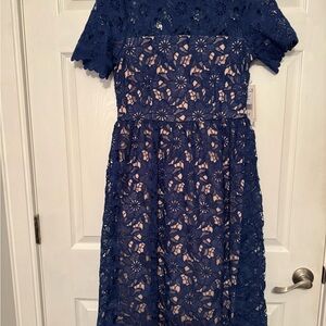 Julia Jordan Navy Floral Lace Dress
